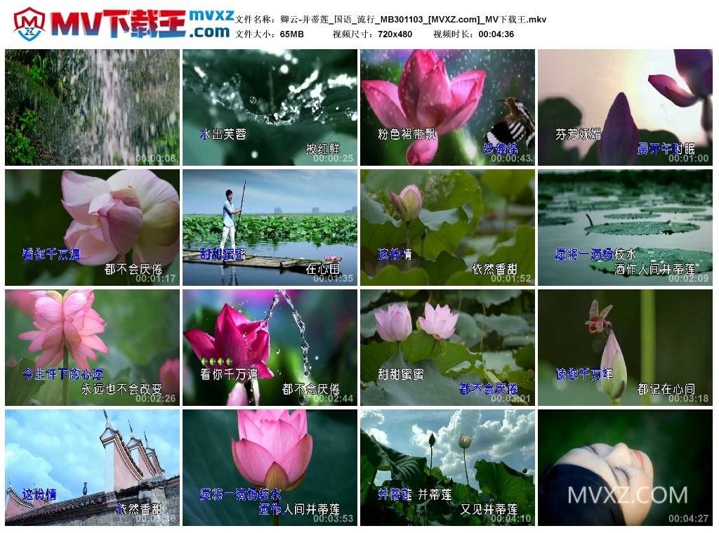 卿云-并蒂莲_国语_流行_MB301103